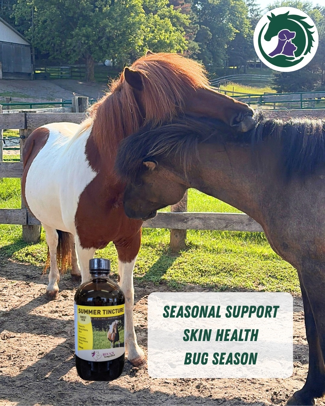 Summer brings heat, bugs, and seasonal allergens. Riva's Remedies Summer Tincture is formulated to support healthy skin, immune function and promote seasonal comfort during bug and allergy season
Available at HolisticHorseSource.com
Tottenham pickup | Canada-wide shipping
#rivasremedies #summerhorsehealth #horsehealth #equinesupplements #immunesupport