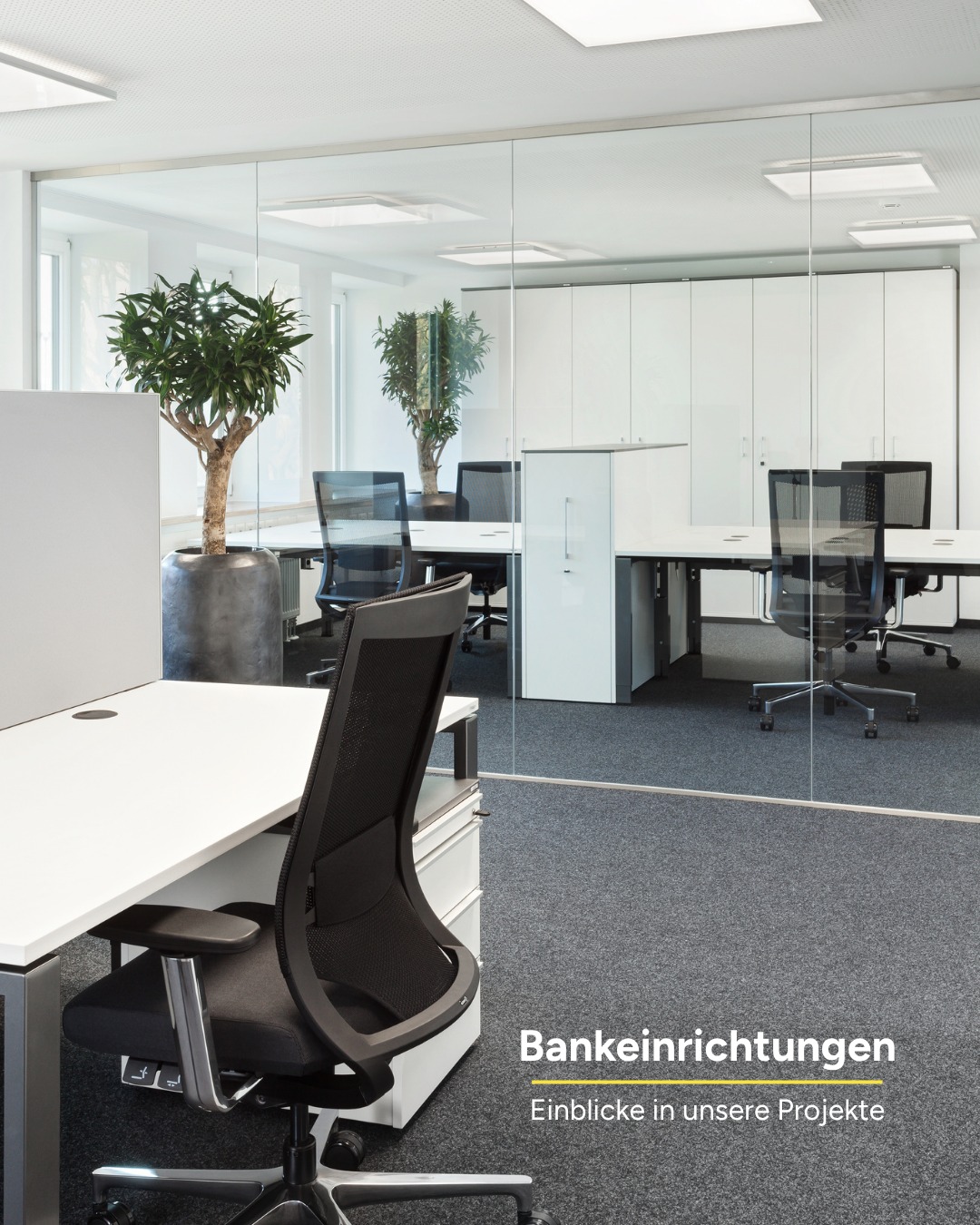 In den vergangenen Jahren durften wir zahlreiche Banken und Finanzinstitute bei der Gestaltung ihrer Arbeitswelten begleiten. 🏦
Jedes Projekt bringt andere Anforderungen mit sich. Vertrauliche Beratungsgespräche, moderne Arbeitsplätze, Besprechungsräume oder ein einladender Empfangsbereich. Genau diese Vielfalt macht Bankeinrichtungen für uns so spannend.
Hier zeigen wir einen kleinen Einblick aus verschiedenen Projekten, die wir in den vergangenen Jahren umsetzen durften.
#WorldOfOffice #Bankeinrichtung #Banken #Arbeitswelten #OfficeDesign #Büroeinrichtung #WorkplaceDesign #Beratungsräume #Innenausbau #Referenzprojekt #Objekteinrichtung
