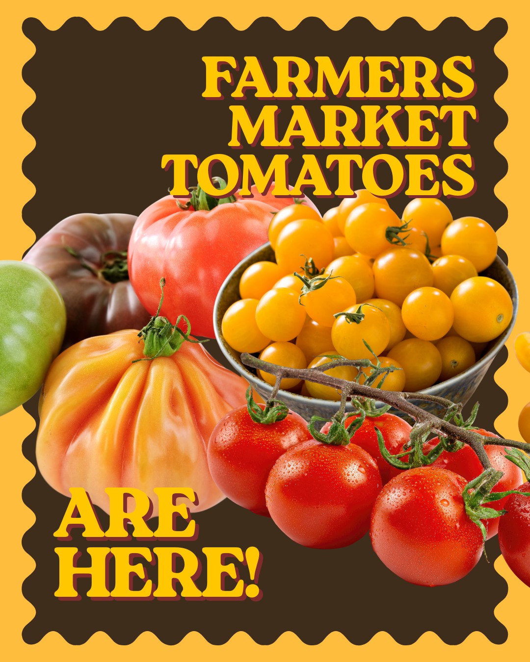 The superstars of summer are here! Shop a wide variety of tomatoes from @calvertsgiftfarm and @kitchengirlfarm at our online store 🍅 🥗
#BaltimoreEats #BuyLocalBaltimore #MarylandMade #ChesapeakeRegion #FarmToTable #LocalFood #supportlocalfarms
