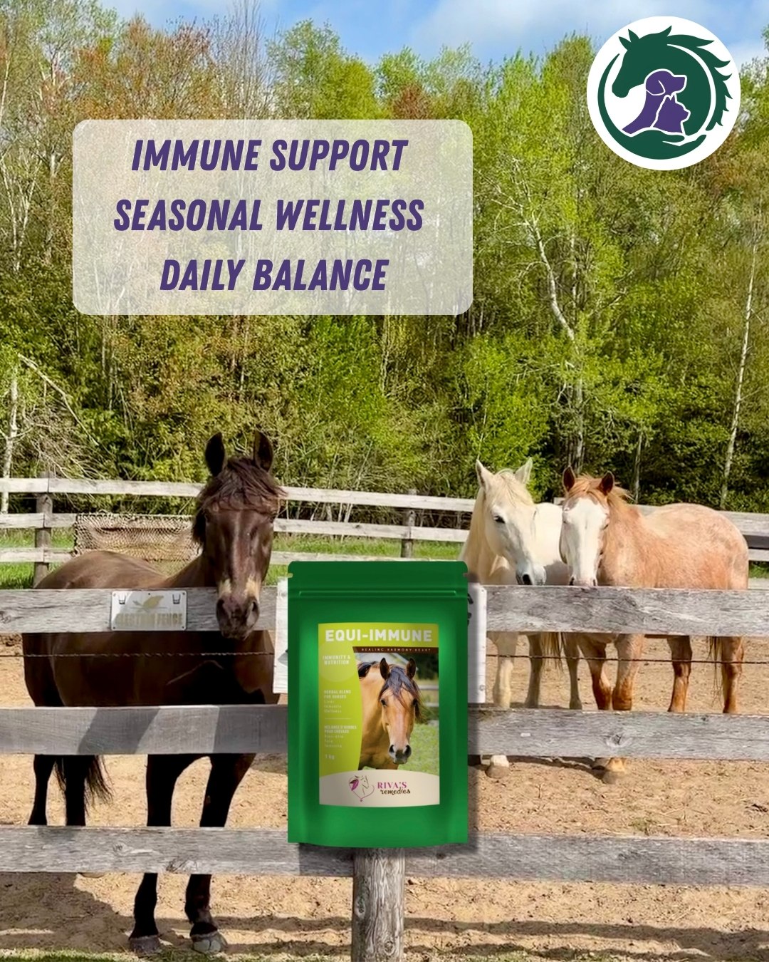 Seasonal changes, insects, pollen, and environmental stressors can all challenge your horse's immune system. Supporting their natural defenses with targeted nutrition can help them stay balanced and feeling their best all season long.
Available at holistichorsesource.com
Tottenham pickup | Canada-wide shipping
#HorseWellness #EquineHealth #HorseSupplements #HolisticHorseSource #HorseCare