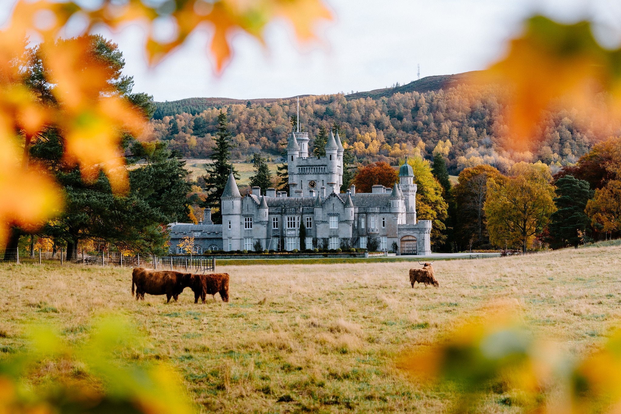 Instagram post from VisitAberdeenshire