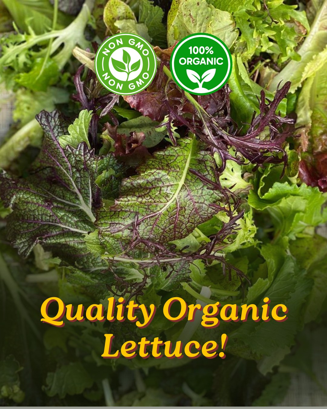 We just want to give a PSA that our 100% organic lettuce is grown by local, quality farmers who have had no complaints of... *reads notes again* indigestion issues....well I guess this is why we support local farms!
#LocalFoodSystems #Lettuce #QualityLettuce #BaltimoreEats #BuyLocalBaltimore #MarylandMade #ChesapeakeRegion #FarmToTable #LocalFood #supportlocalfarms