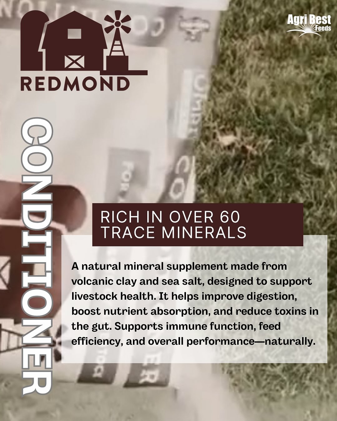 Stronger Herd. Naturally 🌱
@redmondagriculture Conditioner supports better digestion, feed efficiency, and immunity with over 60 natural trace minerals. It’s a simple, powerful way to boost herd health—straight from the earth.
🧂 Nature knows best.
#RedmondConditioner #NaturalNutrition #LivestockHealth #TraceMinerals #AgriBestFeeds