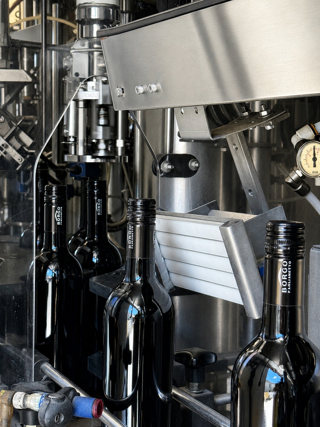 FACT #5
Per un rosso d'annata, la freschezza è tutto.
Il blend di Sangiovese, Merlot e Lacrima esprime il meglio attraverso il suo frutto, la sua agilità e un tannino appena accennato.
La chiusura Stelvin limita l'ingresso di ossigeno, preservando gli aromi primari e mantenendo intatta la precisione del profilo aromatico.
Meno evoluzione precoce. Più identità, dal primo all'ultimo sorso
_____
For a young red wine, freshness makes the difference.
Our blend of Sangiovese, Merlot and Lacrima is defined by vibrant fruit, light body and barely-there tannins.
The Stelvin closure minimizes oxygen ingress, preserving primary aromas and maintaining the wine's aromatic precision over time.
Less premature evolution. More identity, from the first sip to the last