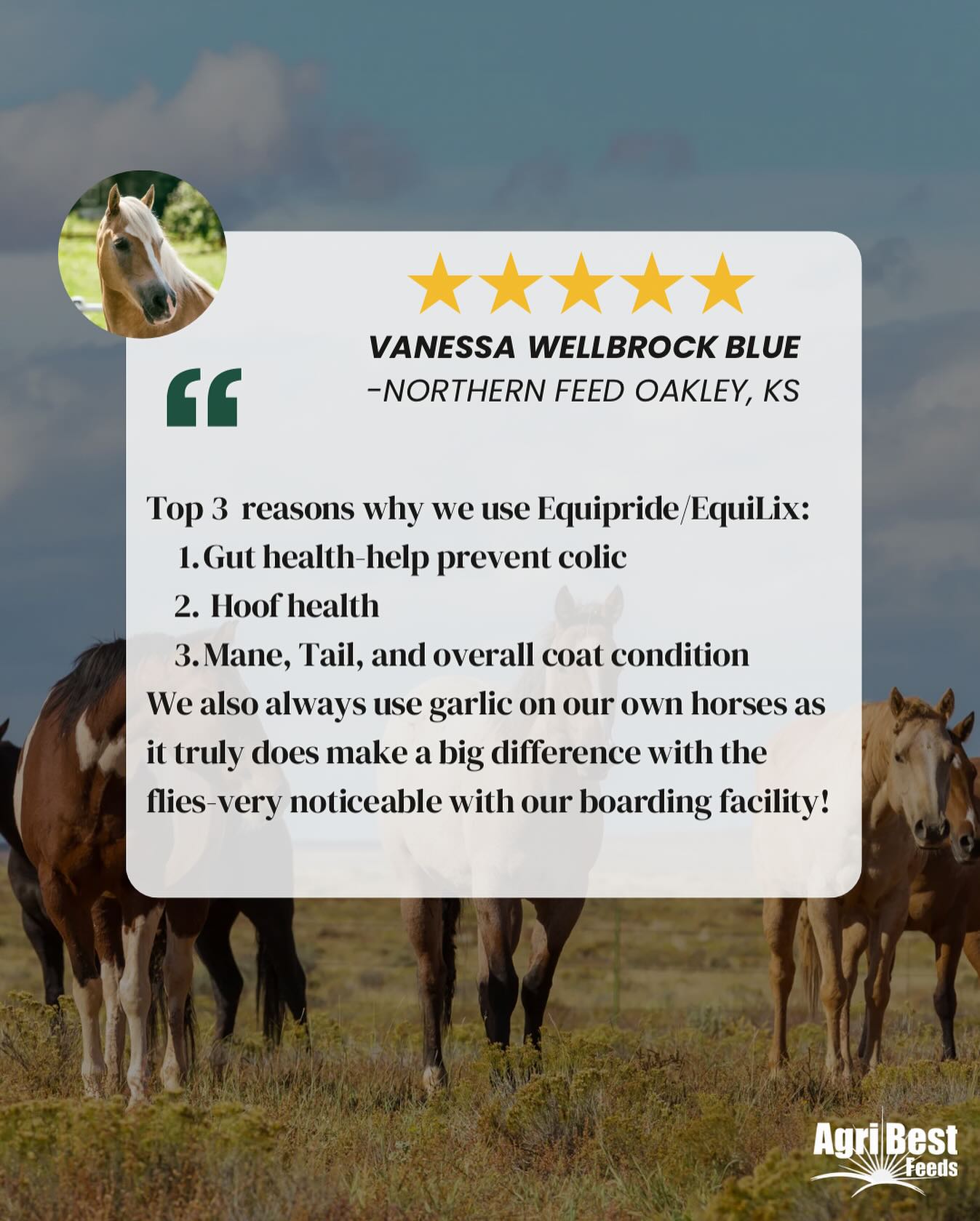 Top-dress or free-choice — EquiPride and EquiLix give your horse the edge with natural nutrition and ProBiotein® support.
Find a Dealer 👉 https://www.agribestfeeds.com/find-a-dealer
#horsesupplements #horsenutrition #equinelife #ranchhorse #rodeohorse