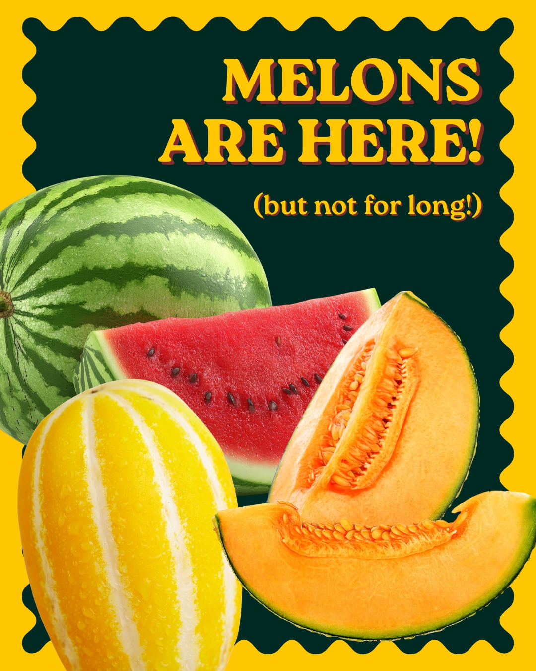 Our farmers' melons are finally ripe! But they aren't going to be here for long. Make sure to include them in your order for this week or next if you're interested in trying some Korean melons or Sangria Watermelons :)
#Watermelon #Cantaloupe #KoreanMelon #BaltimoreEats #BuyLocalBaltimore #MarylandMade #ChesapeakeRegion #FarmToTable #LocalFood #SupportLocalFarms