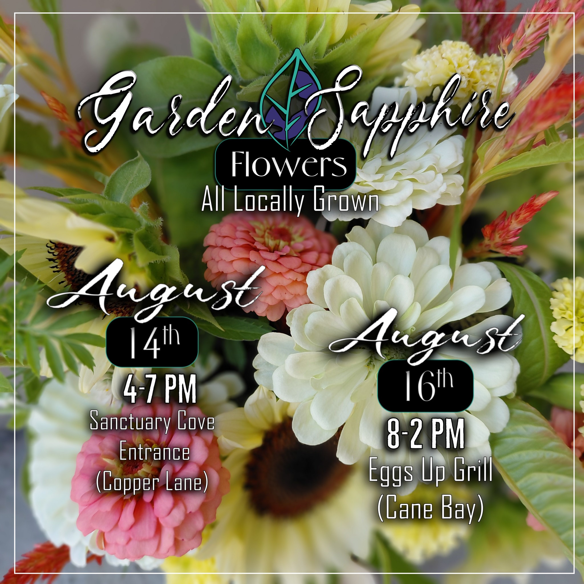 The weekend's here! Hopefully everyone made it through the first days of school, and school traffic, unscathed.
Treat yourself this weekend with some Locally Grown and Freshly Cut flowers!
We will be outside the Second Entrance to Sanctuary Cove (at Copper Lane) 4-7pm Friday, and outside Eggs Up Grill Sunday 10- (when we run out)/2pm.
The hot summer, and a few field critters, have caused our supply to be more limited than normal, so make sure you get out early before everything's gone!
Looking forward to seeing you!
@followers