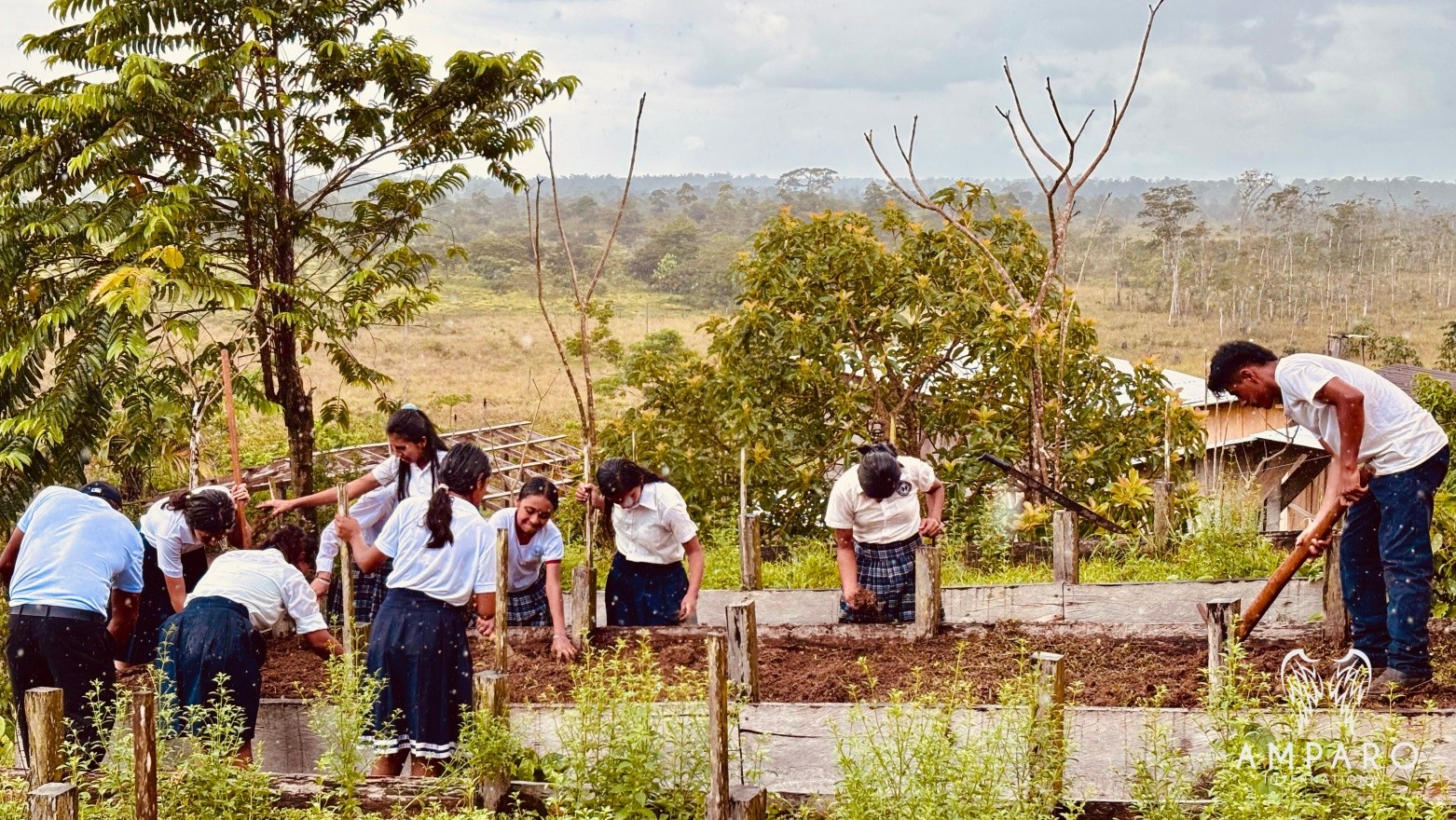 Vocational training is more than learning a skill — it is opening a door.
In communities where opportunities are limited, practical education becomes a pathway to dignity, hope, and self-reliance.
At Amparo International, we believe in learning by doing. That is why one of our methodologies at Colegio Amparo is Project-Based Learning, where students develop real-life skills through meaningful experiences — like our gardens, where they learn about responsibility, sustainability, teamwork, and the value of growing something from the ground up.
Every skill learned is a step toward a brighter future. 💙
-
La formación vocacional es más que aprender una habilidad: es abrir una puerta.
En comunidades donde las oportunidades son limitadas, la educación práctica se convierte en un camino hacia la dignidad, la esperanza y la autonomía.
En Amparo International, creemos en aprender haciendo. Por eso una de nuestras metodologías es el Aprendizaje Basado en Proyectos, donde los estudiantes desarrollan habilidades para la vida a través de experiencias significativas, como nuestros huertos, donde aprenden sobre responsabilidad, sostenibilidad, trabajo en equipo y el valor de cultivar algo desde sus propias manos.
Cada habilidad aprendida es un paso hacia un futuro con más oportunidades. 💙