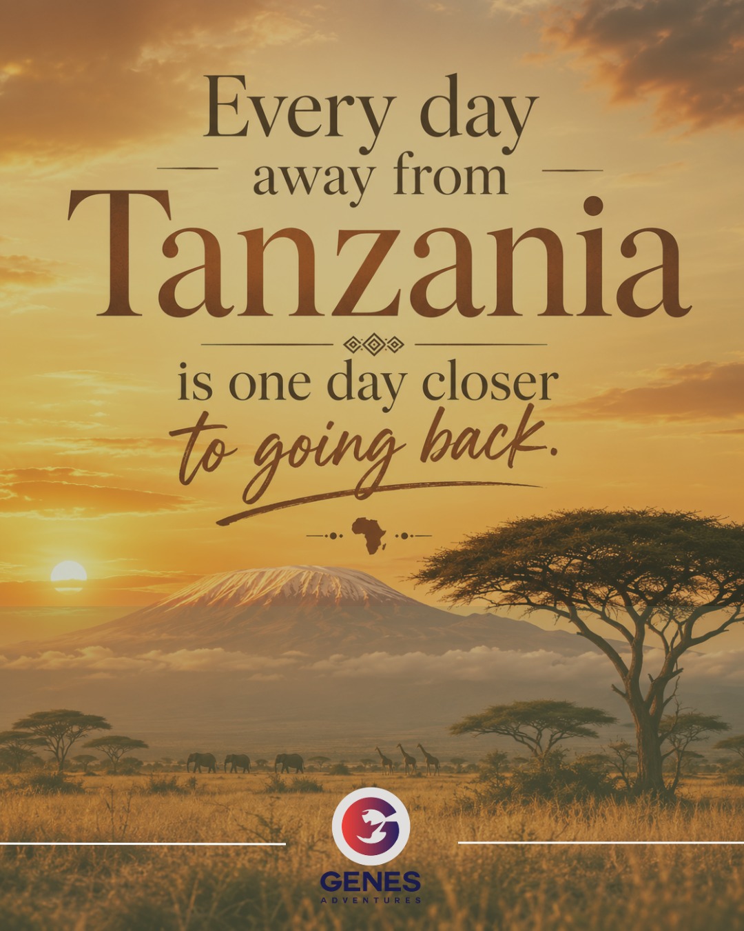 Some places you visit. Others stay with you long after you leave. 🌍
Tanzania has a way of doing exactly that — the landscapes, the wildlife, the mountains, the people, the feeling of being completely present.
And somehow, every day away brings you one day closer to going back.
Where in Tanzania would you return to first? 🇹🇿
✨ May we help you plan your next journey to Tanzania — or perhaps your very first one?
Tell us what you’re dreaming of, and we’ll create a tailor-made adventure around you.
#Tanzania #TanzaniaTravel #Kilimanjaro #TravelAfrica #GenesAdventures