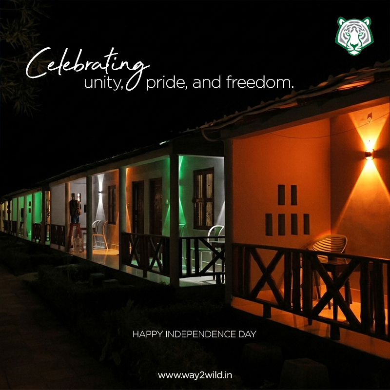 Celebrate Independence Day with the ultimate nature escape! 🏕️✨
At Way2wild Resorts, we've lit up our corridors with the patriotic colors of freedom to welcome you for a tranquil holiday weekend. Escape the city noise, breathe in the fresh air, and enjoy a relaxing stay with your loved ones.
🎉 Special Festive Bookings Open!
📞 Contact us now to reserve your stay at Sundarban Jungle Retreat
#Way2wildResorts #IndependenceDaySpecial #LongWeekendGetaway #ResortStay #TravelInspiration #explorenaturelovers