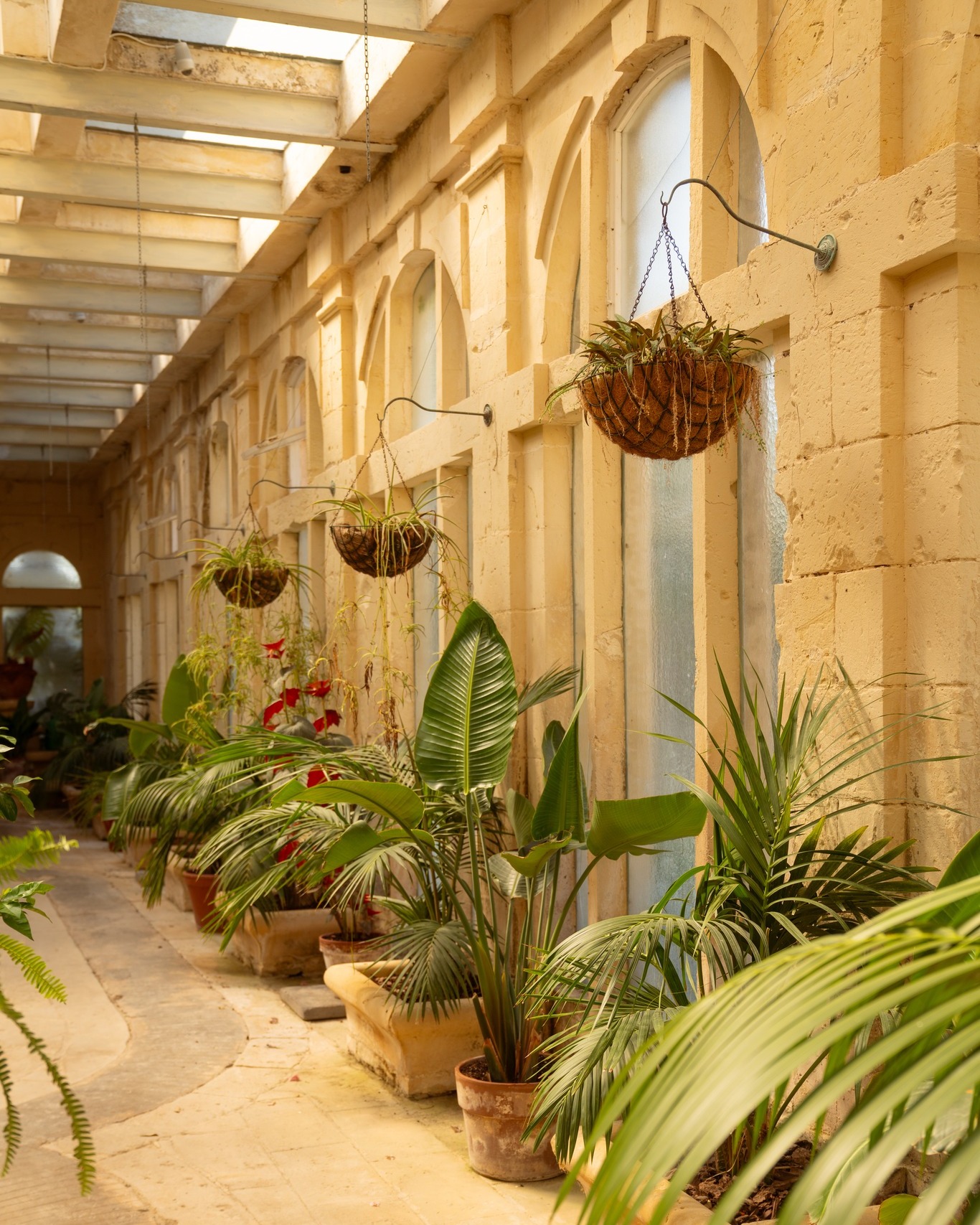 Glass roof, stone arches, and greenery that has quietly taken over. Palms lean in from every side, ferns spill out of every pot they've outgrown, and in the pond a marble figure keeps company with whatever's grown up around her. Come and see it for yourself.