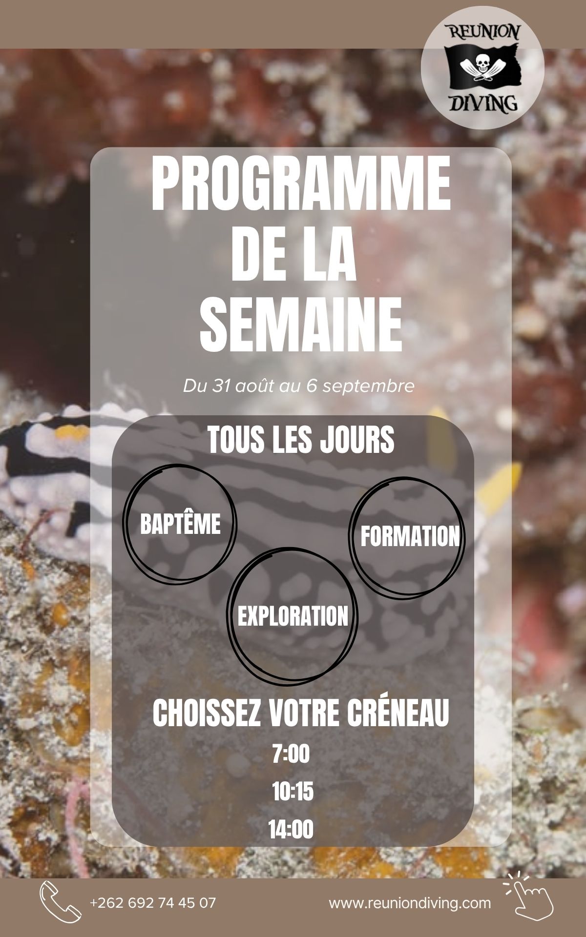 Chaque semaine, on vous partage le planning des sorties pour plonger sur les plus beaux sites de l’île.🐚
Choisissez votre aventure et réservez votre place pour la semaine prochaine.🏴☠️