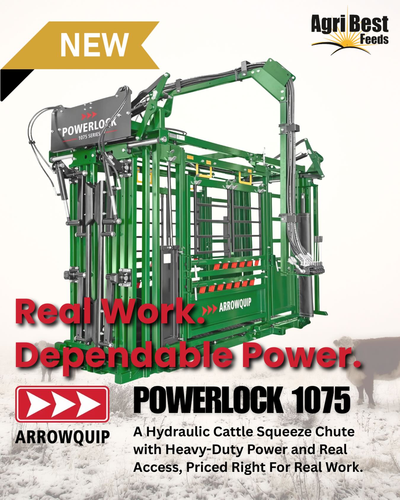 Built for safer, smoother, no-nonsense cattle handling 💪🐂
The new Arrowquip 1075 ArrowLock is here—and it’s a game-changer. Designed with animal welfare in mind and operator safety at the forefront, this chute works as hard as you do.
Upgrade your setup. Upgrade your flow.
👉 Available through AgriBest Feeds — stop in or contact us to learn more.
#AgriBestFeeds #Arrowquip #ArrowLock1075 #CattleHandling #RanchLife WorkSmarter BuiltRanchTough