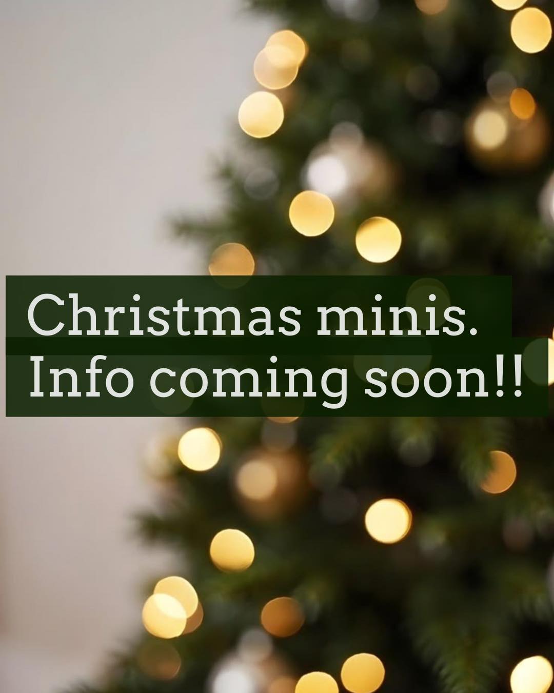 🎄 CHRISTMAS MINIS 🎄
It’s almost time! 🤍
Christmas Mini info is coming THIS WEEKEND!
Dates, setup, pricing + booking info will all be announced. 🎅🏼✨
Who’s ready?