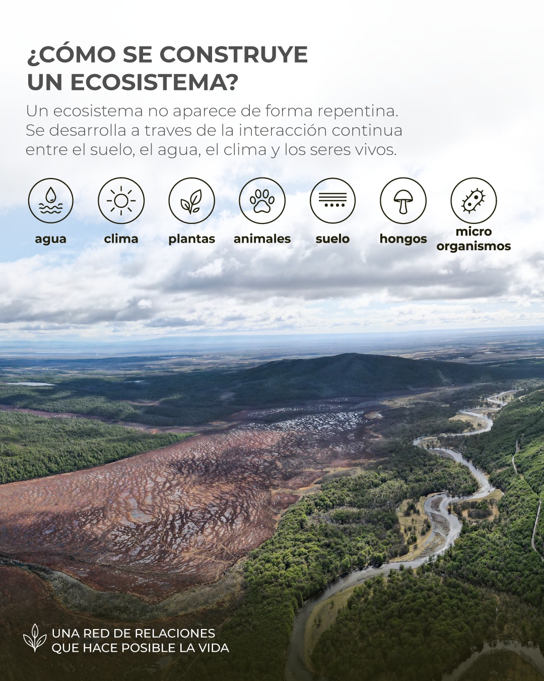 ¿Cómo se construye un ecosistema?
Un ecosistema no aparece de forma repentina. Se desarrolla a través de la interacción continua entre el suelo, el agua, el clima y los seres vivos. Las plantas, animales, hongos y microorganismos cumplen funciones distintas, pero todas contribuyen al funcionamiento del conjunto. Al mismo tiempo, factores como la disponibilidad de agua, la temperatura y las características del suelo influyen en qué especies pueden habitar un lugar. Estas relaciones se construyen y modifican constantemente, dando forma a los ecosistemas que observamos hoy. Por eso, cuando observamos un bosque, un humedal o una turbera, no estamos viendo elementos aislados. Estamos viendo el resultado de innumerables conexiones que se han desarrollado a lo largo del tiempo. Un ecosistema no es solo un lugar donde vive la naturaleza. Es una red de relaciones que permite que la vida funcione
#Conservacion #MedioAmbiente #RiosLimpios #Naturaleza #Patagonia #ProtegeNuestrosRios #Ecologia #Sustentabilidad #FuturoVerde #Chile #PatagoniaChilena #Ecosistema #Rio #regionmagallanes
.
.
.
.
.
.
.
.
How is an Ecosystem Built?
An ecosystem does not appear suddenly. It develops through continuous interaction between soil, water, climate, and living beings.
Plants, animals, fungi, and microorganisms play different roles, but they all contribute to the functioning of the whole. At the same time, factors such as water availability, temperature, and soil characteristics influence which species can inhabit a place. These relationships are constantly built and modified, shaping the ecosystems we observe today. That is why, when we look at a forest, a wetland, or a peatland, we are not looking at isolated elements. We are looking at the result of countless connections that have developed over time. An ecosystem is not just a place where nature lives. It is a network of relationships that allows life to function.
#Conservation #NaturePreservation #CleanRivers #EcoFriendly #Sustainability #WildRivers #NaturePhotography #ProtectOurPlanet #GreenFuture #WaterIsLife #SaveTheRivers #Chilean