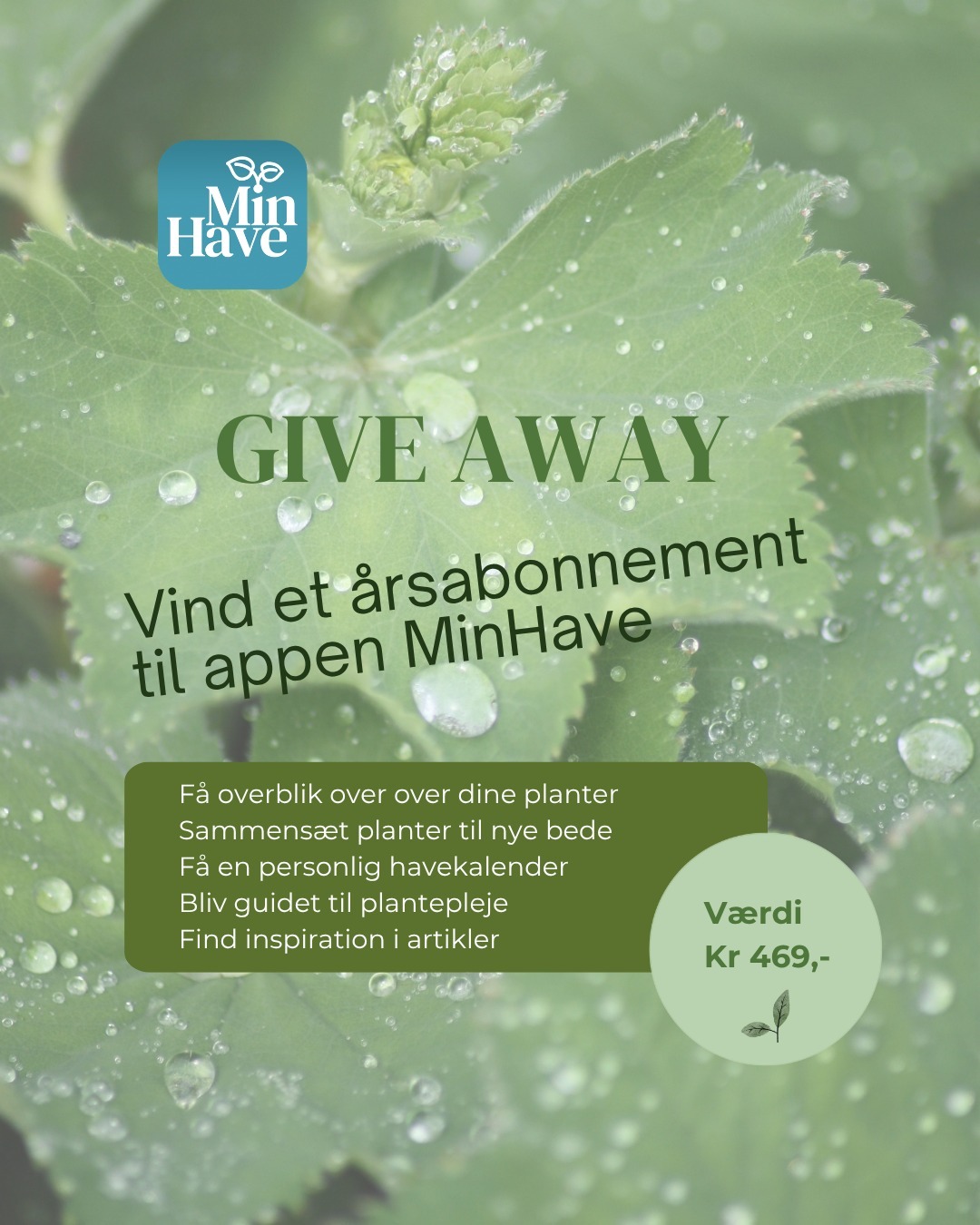 GIVEAWAY – VIND ET RSABONNEMENT TIL MINHAVE Vi fr…