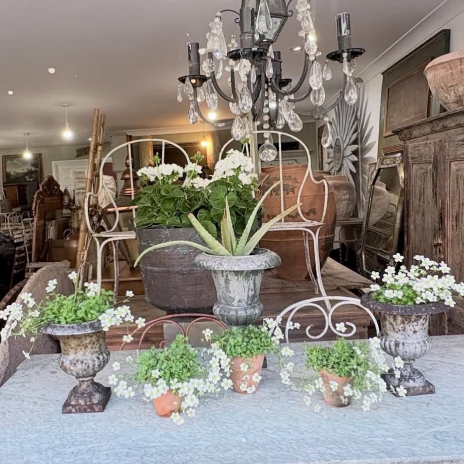 @barrows_antiques have such a great eye for curating pieces we all need, but just look at this Spring is Sprung image from their feed. Wonderful. 🤍
King Street, Sandwich, Kent (road closed Saturday morning for browsing).
Your Sandwich:
runs on independents.
Shops, makers, food, wellbeing, arts and services — all local, all here.
Tag us to be featured.
📍 #whatthreewords: Catching · Intrigued · Analogy
#IndependentBusiness #SandwichBusinesses #ShopLocalKent #gardenantiques