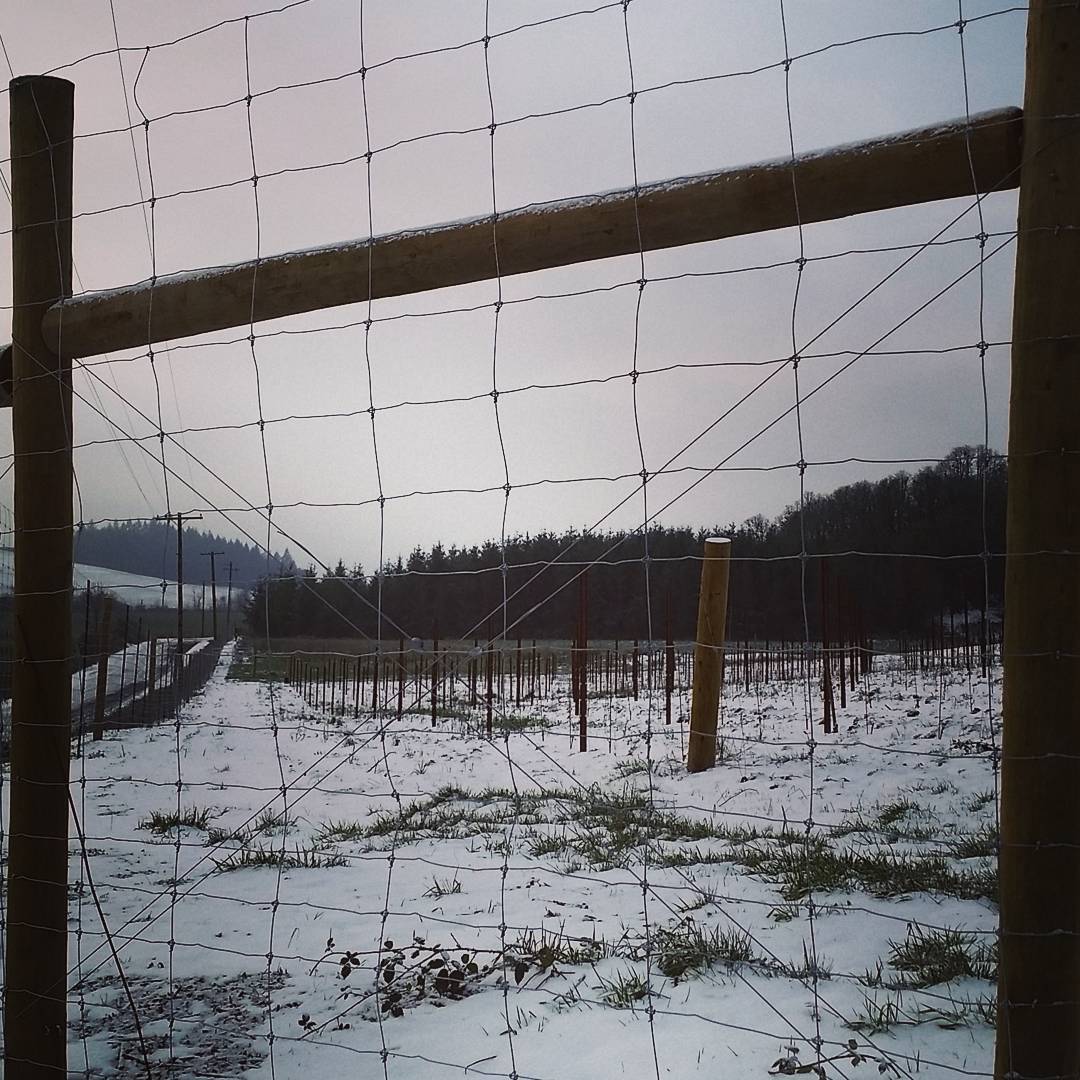 A taste of winter to come?