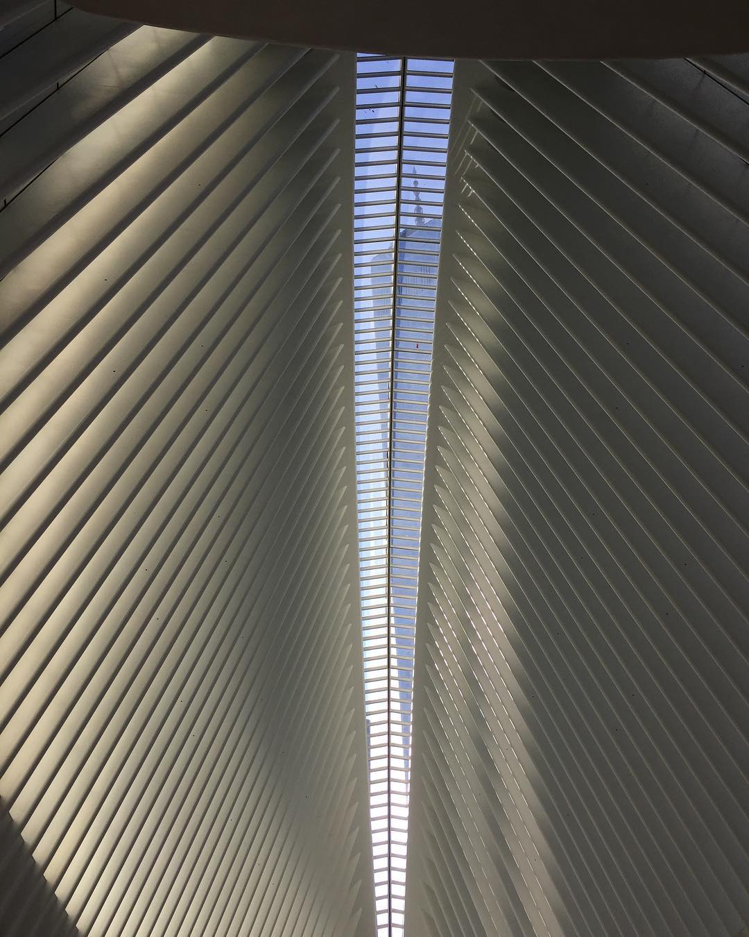 NYC #calatrava