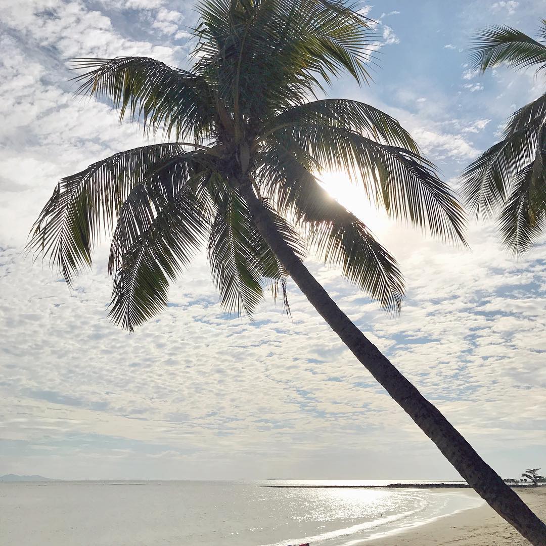 Island life 🙌🏼 #winterescape #palmtrees #islandlife #resortlife #fiji