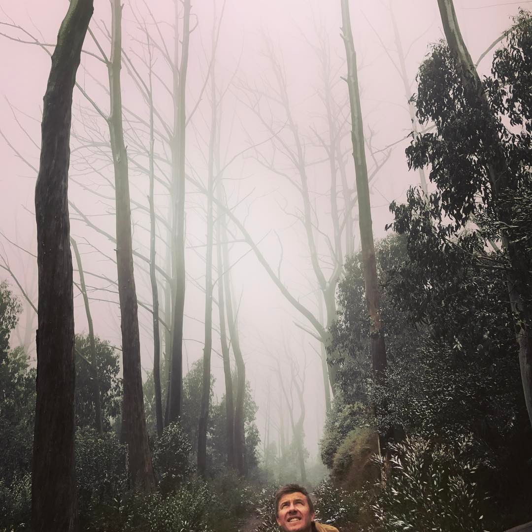 #snowyhills #mountains#touring 4wd australia#tough touring#Victorian high country#snow gums#