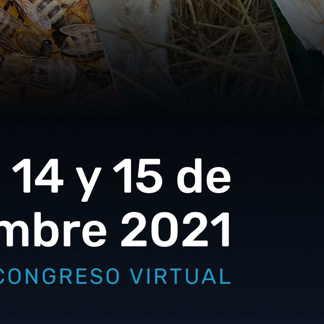 7° CONGRESO DE AUPA - 14 y 15 de diciembre de 2021.
Este congreso se enmarca dentro de la conmemoración por los 25 años del primer congreso desarrollado en 1996. Los esfuerzos por llevarlo a cabo en este contexto particular, busca otorgarle el valor histórico que corresponde y reivindicar nuestro compromiso originario; seguir contribuyendo al fortalecimiento de la producción animal de los países de Latinoamérica y el Caribe.
En esta oportunidad, la Asociación realizará el congreso en modalidad virtual. Para eso, hemos creado una plataforma web (www.aupa2021.com), donde los interesados podrán enviar presentaciones de trabajos científicos, que serán incorporado al sitio, y comprar tickets de ingreso para acceder a todas las exposiciones en vivo, materiales de interés y contenido audiovisual exclusivo.
Más adelante, y a través de este canal, iremos brindando más información.