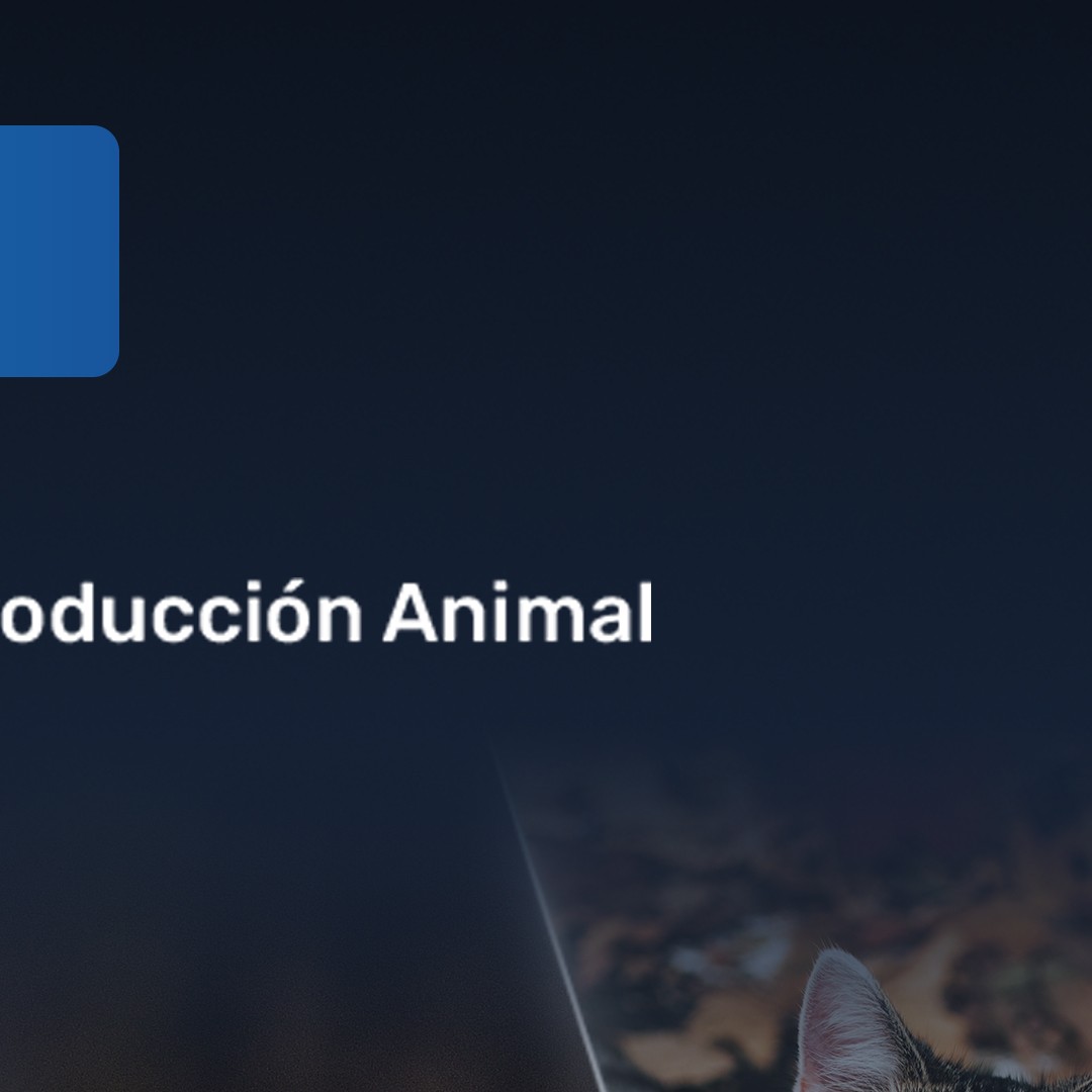 7° CONGRESO DE AUPA - 14 y 15 de diciembre de 2021.
Este congreso se enmarca dentro de la conmemoración por los 25 años del primer congreso desarrollado en 1996. Los esfuerzos por llevarlo a cabo en este contexto particular, busca otorgarle el valor histórico que corresponde y reivindicar nuestro compromiso originario; seguir contribuyendo al fortalecimiento de la producción animal de los países de Latinoamérica y el Caribe.
En esta oportunidad, la Asociación realizará el congreso en modalidad virtual. Para eso, hemos creado una plataforma web (www.aupa2021.com), donde los interesados podrán enviar presentaciones de trabajos científicos, que serán incorporado al sitio, y comprar tickets de ingreso para acceder a todas las exposiciones en vivo, materiales de interés y contenido audiovisual exclusivo.
Más adelante, y a través de este canal, iremos brindando más información.