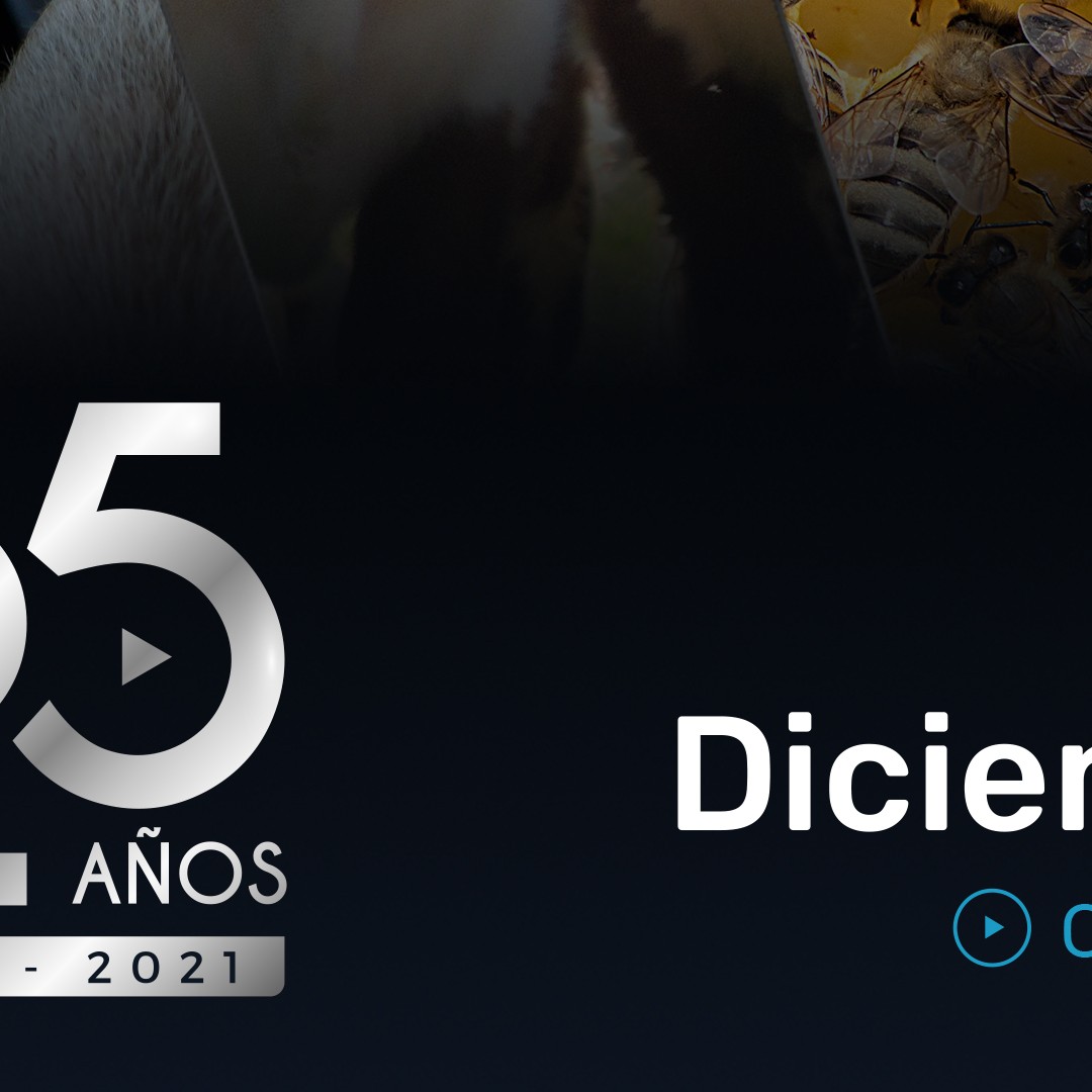 7° CONGRESO DE AUPA - 14 y 15 de diciembre de 2021.
Este congreso se enmarca dentro de la conmemoración por los 25 años del primer congreso desarrollado en 1996. Los esfuerzos por llevarlo a cabo en este contexto particular, busca otorgarle el valor histórico que corresponde y reivindicar nuestro compromiso originario; seguir contribuyendo al fortalecimiento de la producción animal de los países de Latinoamérica y el Caribe.
En esta oportunidad, la Asociación realizará el congreso en modalidad virtual. Para eso, hemos creado una plataforma web (www.aupa2021.com), donde los interesados podrán enviar presentaciones de trabajos científicos, que serán incorporado al sitio, y comprar tickets de ingreso para acceder a todas las exposiciones en vivo, materiales de interés y contenido audiovisual exclusivo.
Más adelante, y a través de este canal, iremos brindando más información.