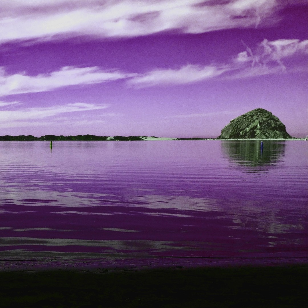 We live in such a beautiful place... a place so rich in history. Some of which is hard to believe. We look forward to sharing some of these unbelievable tales with you!
Happy Toursday! Tickets on sale now!
#SLOCounty #ShareSLO #SpookySeason #California #SanLuisObispo #Fall #October #Halloween #mysterylovescompanytours #MorroBay