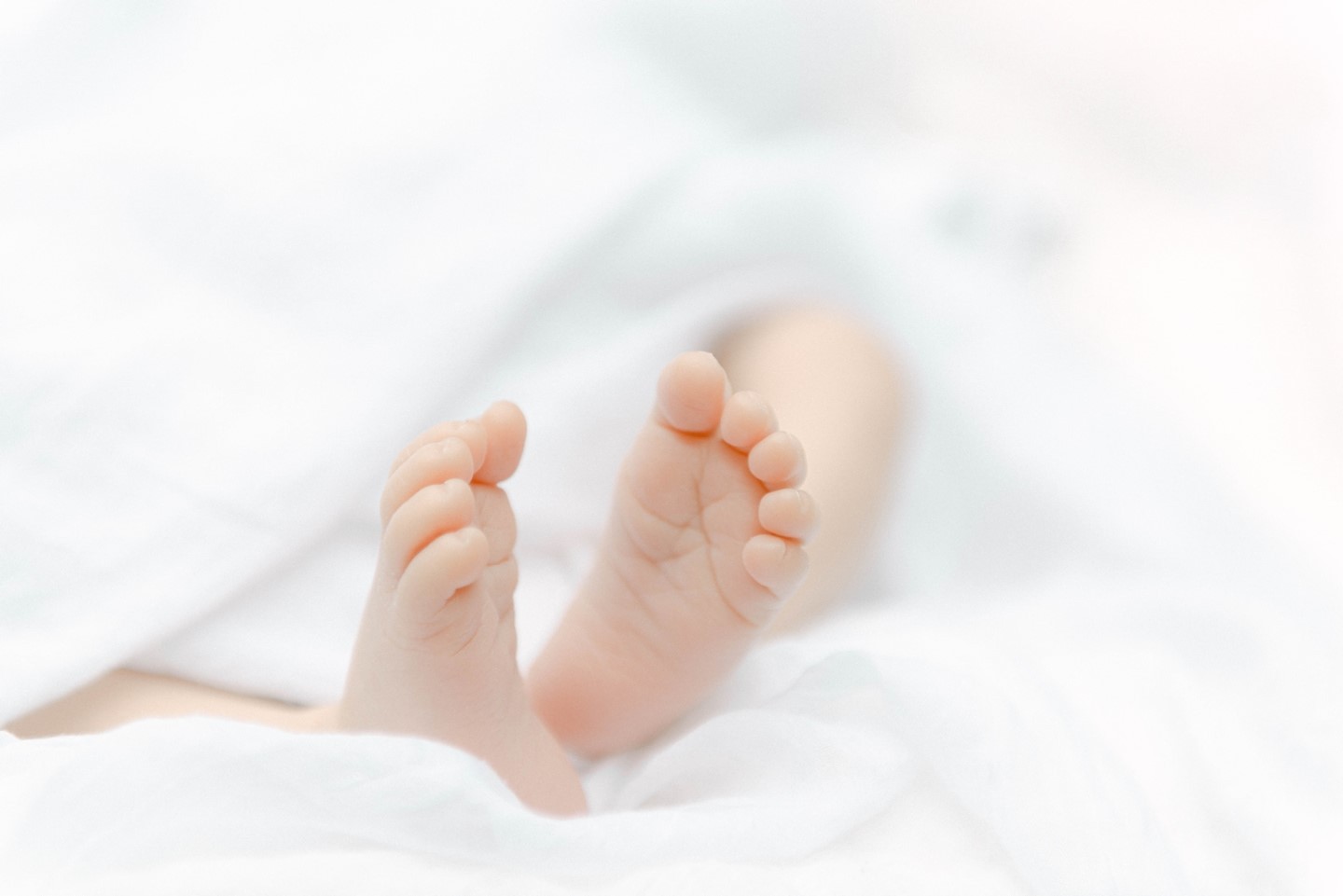 Toesies 🤍
.
.
.
.
.
.
#babygirl #newborn #newbornsession #newbornphotography #familyphotography #maternityphotography #torontomoms #gtamoms #torontofamilyphotographer #torontonewbornphotographer
#torontophotographer #gtaphotographer #ontariophotographer #portrait #torontoportraitphotographer #torontoeventphotographer #themotherhoodanthology #familyinspo #refinedpresets #refinedco #lightroompresets
#pregnantandperfect #bumptobaby #motherhood #fatherhood #newparents #naturallight #naturallightphotography #lightandairy #megmateraphotos