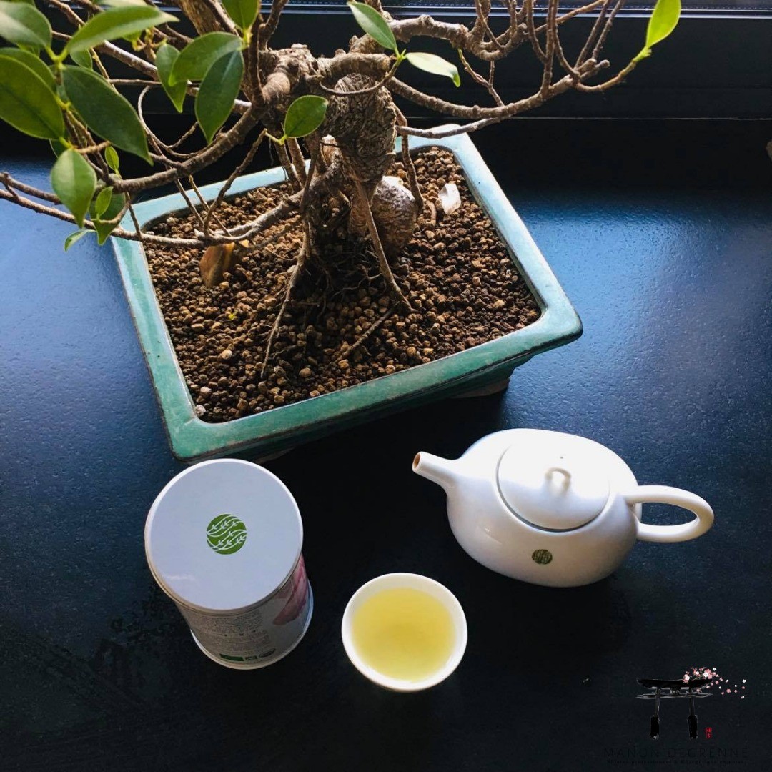 🍵 Aujourd'hui le thé fait partie des 3 boissons les plus consommé dans le monde avec le café et le cacao. Ses bienfaits pour la santé sont multiples à tel point qu'il est considéré comme une véritable panacée.
🌱Privilégiez toujours les thés en vrac, méfiez-vous de certaines marques qui utilisent le marketing pour vendre du thé, très souvent ils y ajoutent des saveurs artificiels, ne vous y attardez pas. Une infusion à la fraise ne doit pas être rose bonbon ou encore le citron ne doit pas être jaune...
🌿 On parle beaucoup du thé vert et de ses vertus mais il sera à privilégier le printemps et l'été car il a des propriétés rafraichissantes, comme le thé blanc est récolté au moment où les bourgeons sont jeunes et frais.
🍂 Lors des saisons froides, préférez des thés noirs ou rouges, leurs fermentations est plus longues et leurs saveurs et plus adaptés pour le corps qui est en "hypofonctionnement". L'idéal reste le thé chinois comme le pu-erh, le tuo-cha ou le grand yunnan. Préférez les thés "neutres" sans ajout d'arôme. On évitera aussi de mettre du sucre et encore moins du lait. Comme pour un bon café, pour garder le goût intact.
💊 Le thé possède environs 600 composants différents comme des protéines, phénols, glucides, vitamines ce qui donne l'effet médical du thé. Vous pourrez faire plusieurs infusions sur vos feuilles, pour les thés noirs vous pouvez aller jusqu'à 4 infusions.
😀 Les vertus du thé sont nombreuses : booste l'immunité, antiviral, protège le fois, lutte contre la constipation, contrôle l'hypertension, prévient les caries dentaires etc.
👍 vous l'aurez compris, cette panacée est à consommer sans modération, faites-vous plaisir au quotidien en choisissant un thé de qualité
#thé #keikoshiatsu #shiatsulyon #bienetrelyon #doinlyon #aromatherapielyon #massagelyon #santenaturelle #huileessentielles #energetiquechinoise #medecinechinoise #acupression #developpementpersonnel #sérénité #psychologiepositive #moonclublyon #formationaromatherapie #holistique #soinénergétiquelyon #santemental