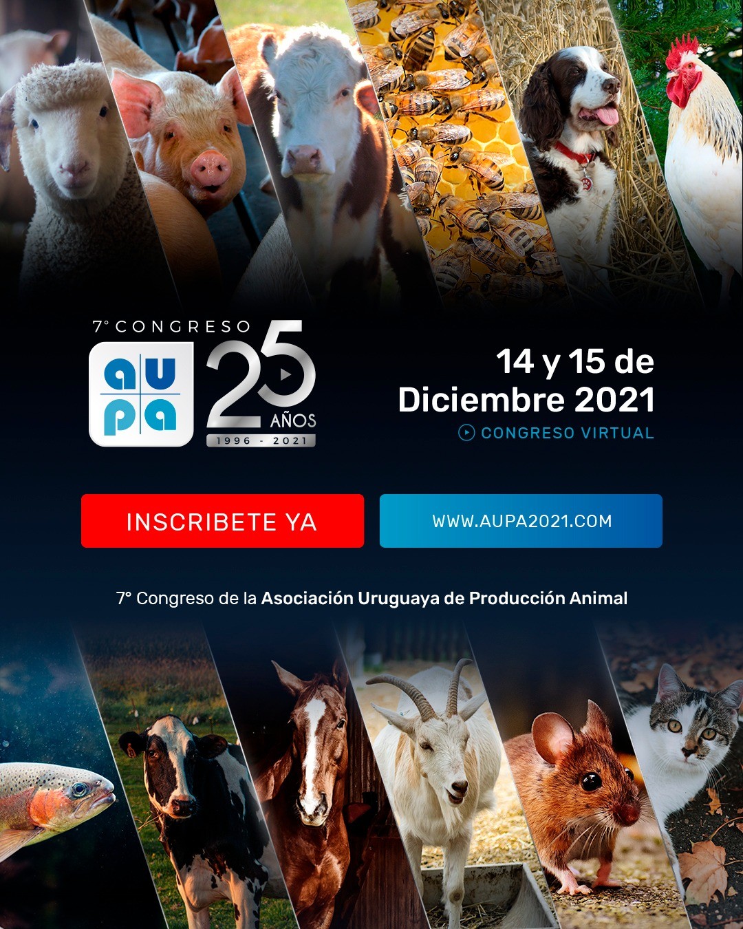 Exposiciones en vivo, contenido multimedia on-demand, posters académicos y mucho más. INSCRIBITE AHORA EN LA WEB