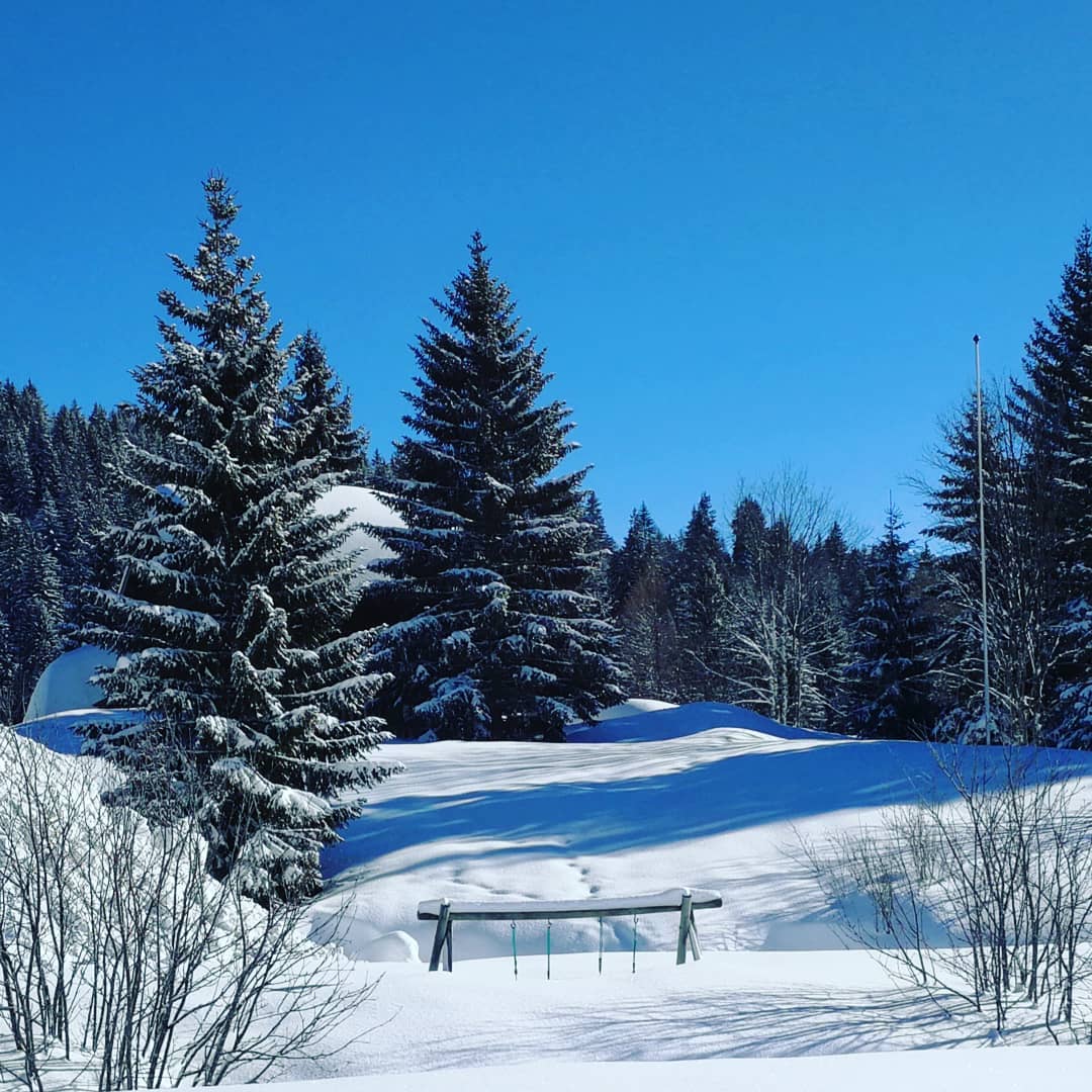 Let's play on swing #swing #snow #frenchalpes
