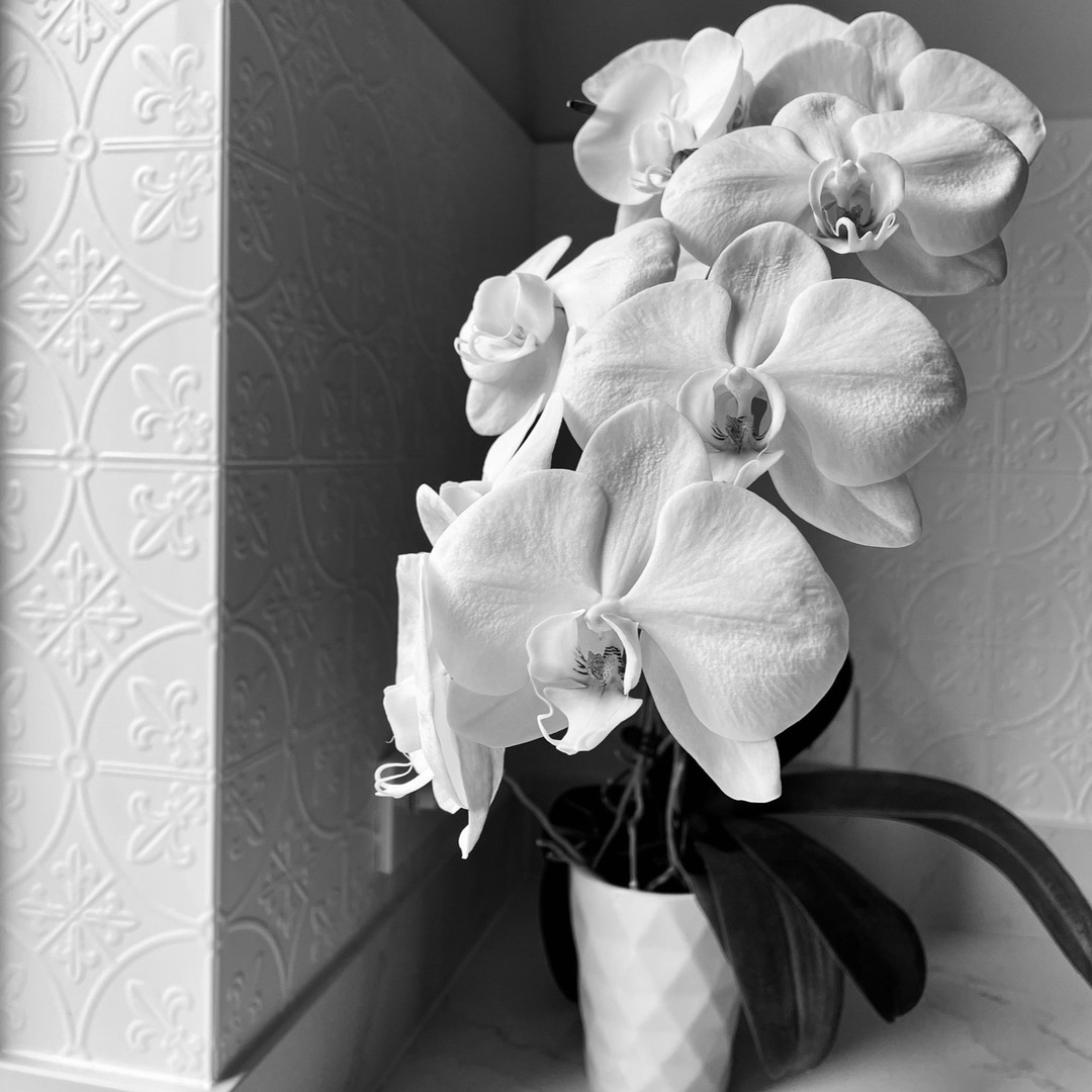 Minimal and beautiful, don't underestimate the beauty of patterns against monochromatic colours. Get in touch to discover how I can help you achieve your interior design goals. #ditaylorinteriors #interiordesign #homedecor #interiordesigner #decoration #interiorstyling #homesweethome #inspiration #interiordecorating #sydneyinteriordesigner