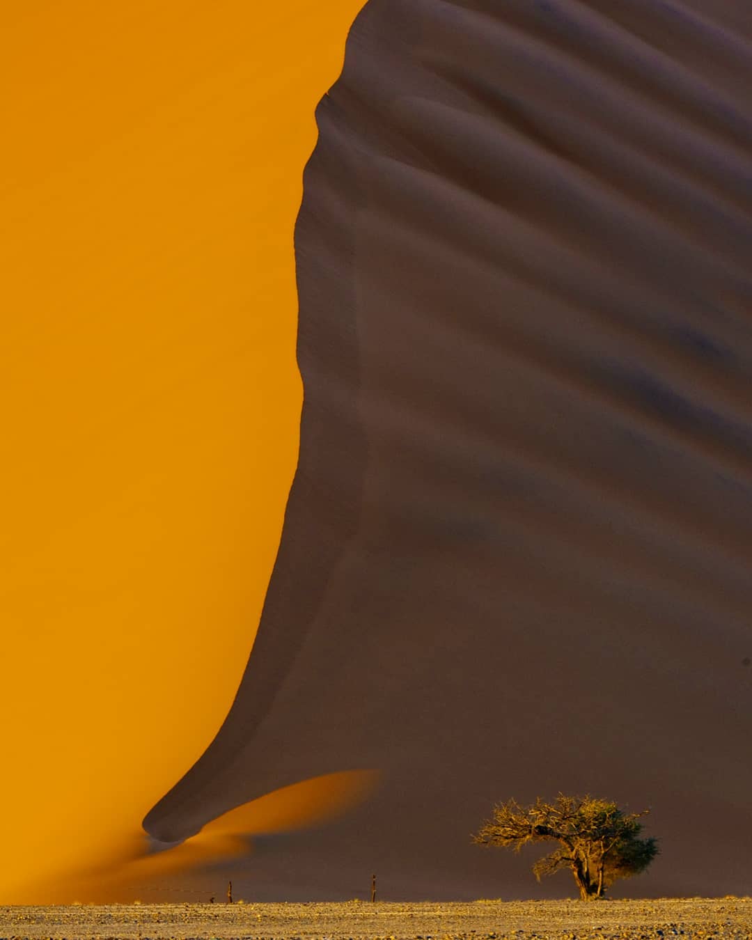 Tag a mate you'd race to the top 😂
Sossusvlei's rust-red dunes, bleached white pans and deep blue sky are instantly recognisable, and symbolise Namibia's vast, dry, uninhabited expanses. They are some of the highest in the world, and the tallest in this area - at a whopping 325m (1,066ft) - is the appropriately named Big Daddy.
The more popular Dune 45 is just 80m high, but people still like to climb the monster Big Daddy mainly for bragging rights.