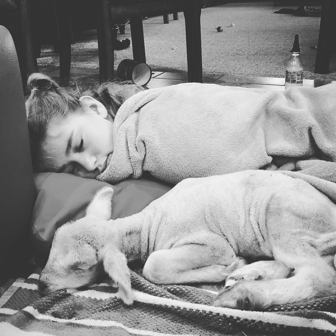 When you fall in love with the pet your babysitting. Sorry Easton, but your never getting lamby back