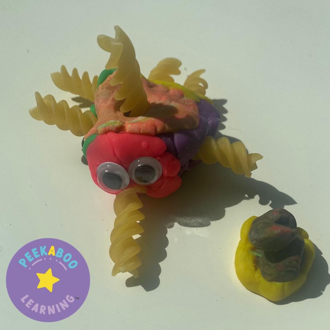 🍝 Add In Pasta!
👀Play dough is always fun but adding in pasta can make it a little more interesting and some googly eyes too!
✋ Moulding the playdough will massively help your child’s fine motor strength
👇 Do you littles enjoy using playdough?
.
.
.
#finemotorskills #writingdevelopment #writingready # #letthemplay #makelearningfun #learningthroughplay #learnthroughplay #chigwellmums #woodfordmums #buckhursthillmums #redbridgemums #childdevelopment #2yearolds #3yearolds #4yearolds