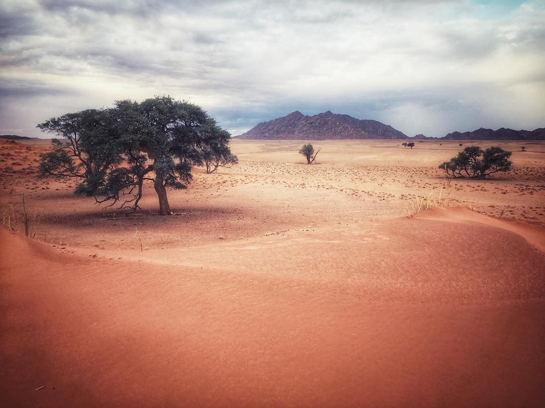 Desert.
#namibia #sesriem #natureisart