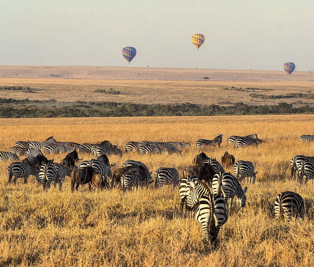 Bucket lists🎈
Everyone has one even if it's only in your head. Watching the sun rise over Africa's Masai Mara in a hot air balloon should, in our opinion, be on that list. Tag someone you would love to do this with or if you already have someone in mind let us make it happen for you.