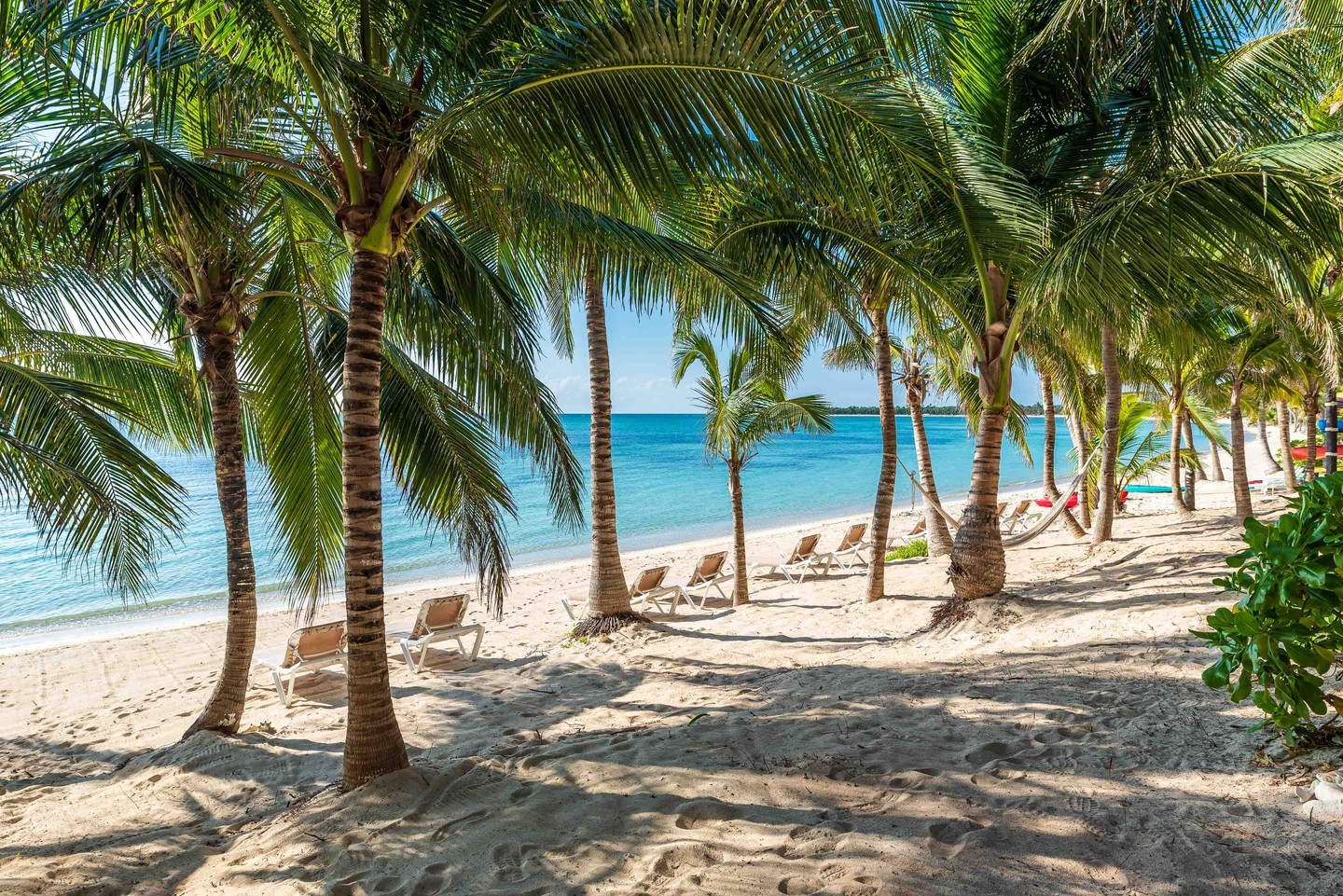 #yourescape#newcollection#luxurylifestyle#villarental
#luxuryvillasandhomes#luxuryvilla#concierge
#luxuryconcierge#privacy#authenticvacation
#exclusiveholidays#beachfrontvillas
#luxuryholidays#rivieramaya#mexicovillas
#luxuryexperience