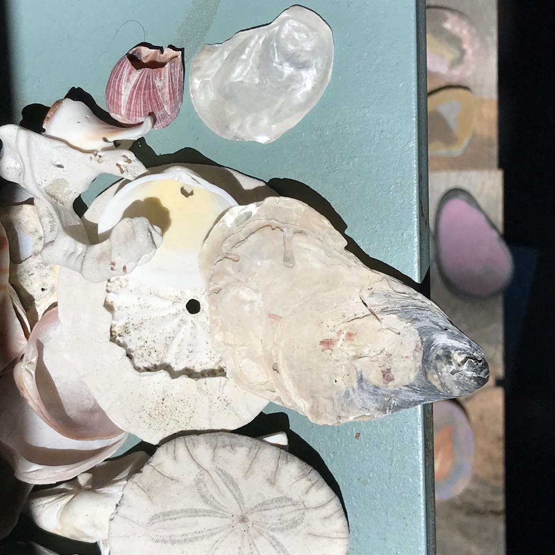 There is something about nature, it’s gifts even in decay, that reminds us beauty is everywhere. These shells, lost and abandoned homes from the sea, are a perfect example. #natureisart #beautyiseverywhere