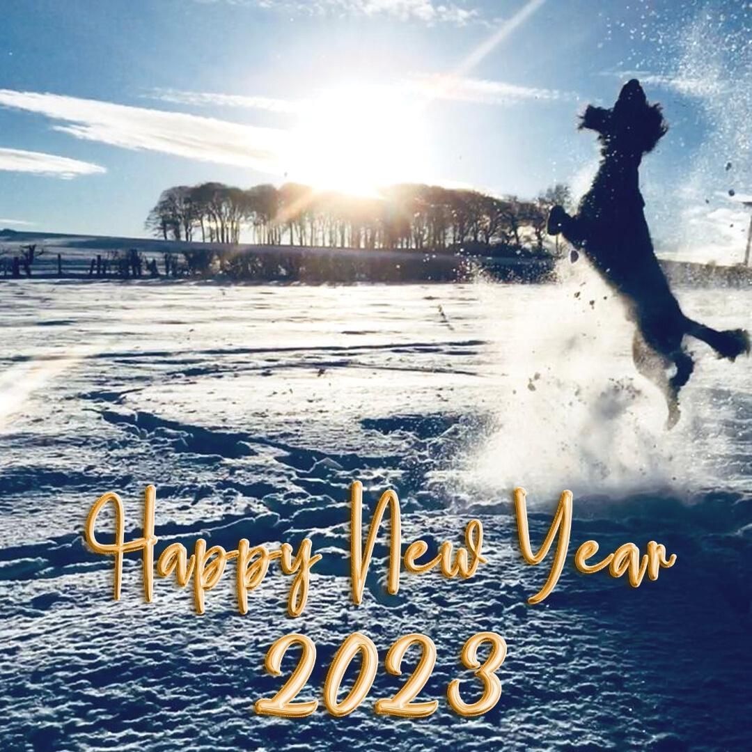 Thatās a wrap everyone! A big thank you to our team for a fast paced and challenging year with many welcomed changes throughout 2022 especially to fire safety and our way of working.Ā Ā
Wishing all of our client, leaseholders and staff a very safe and Happy New Year and best wishes for 2023!Ā
Hope you enjoy the snap of Snipe, our office dog, dancing in the snow earlier this month!
Ā
Ā
#happynewyear #newyear2023 #londnblockmanagement #newyearvibes #doglovers