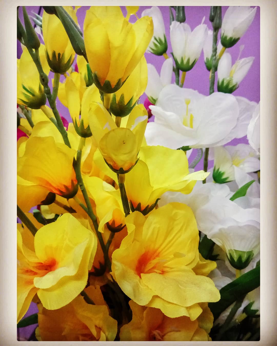 A flower in the vase smiles but no longer laughs.... #flowers #freshness #beauty #flower #flowers #flowerstagram #flowersofinstagram #flowerstalking #flowerlove #flowergram #flowerphotography #flowersmakemehappy #flowerlover #flowerart #flowermagic #blooooms #inspiredbypetals #petalsandprops #flowerfriday #simply_flowers