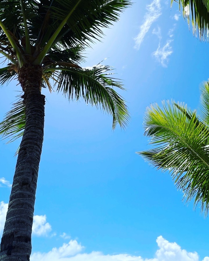 Venha desfrutar das belezas de Porto Seguro se hospedando na Pousada Arigato.