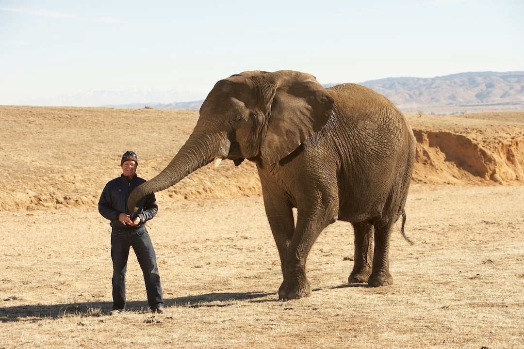 Flashing waaaaay back to an #onset moment with photographer @bobscottnyc and Susie the elephant
.
.
.
#lockboxproductions #producer #photoproduction #production #producers #photo #productioncompany #productionlife #setlife #onset #photoshoot #commercialphotography #capture #photographer #crew #advertisingphotography #lifestylephotography #bts #lifeisshortworkwithpeopleyoulike #LISWWPYL