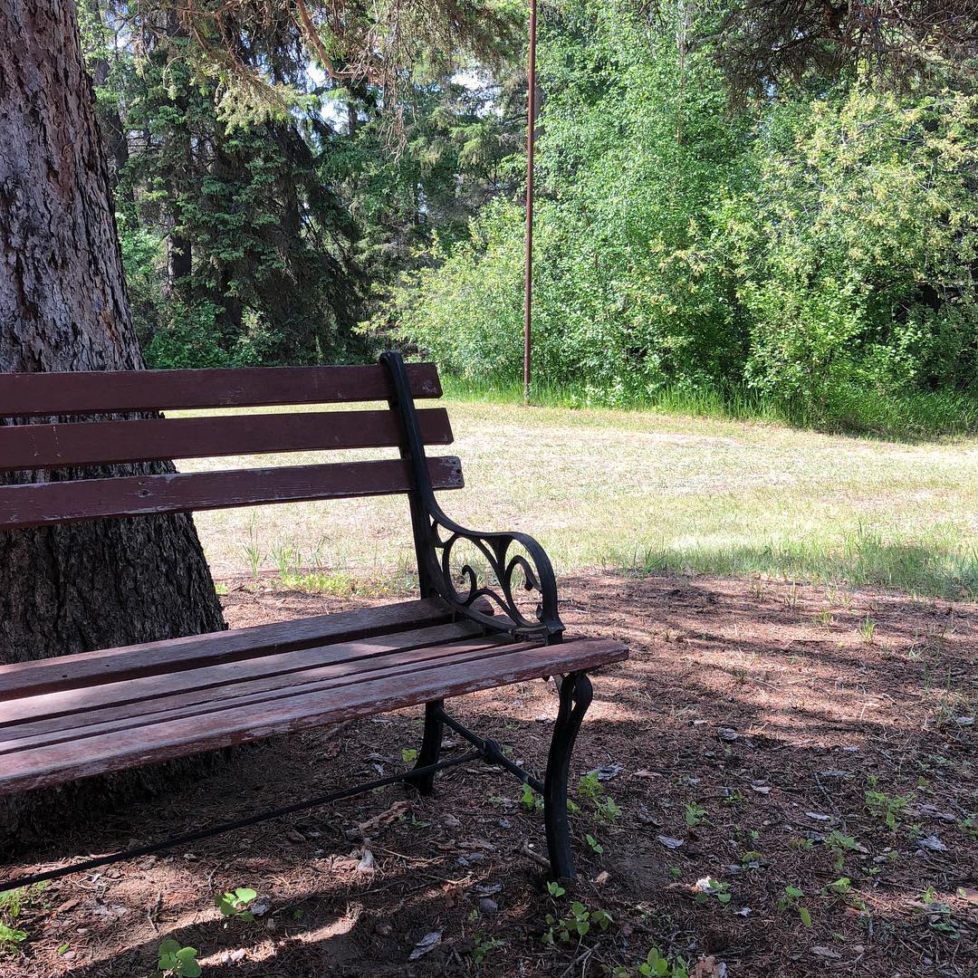I’ve always loved these park benches, by withstanding the elements they increase in a weathered beauty.