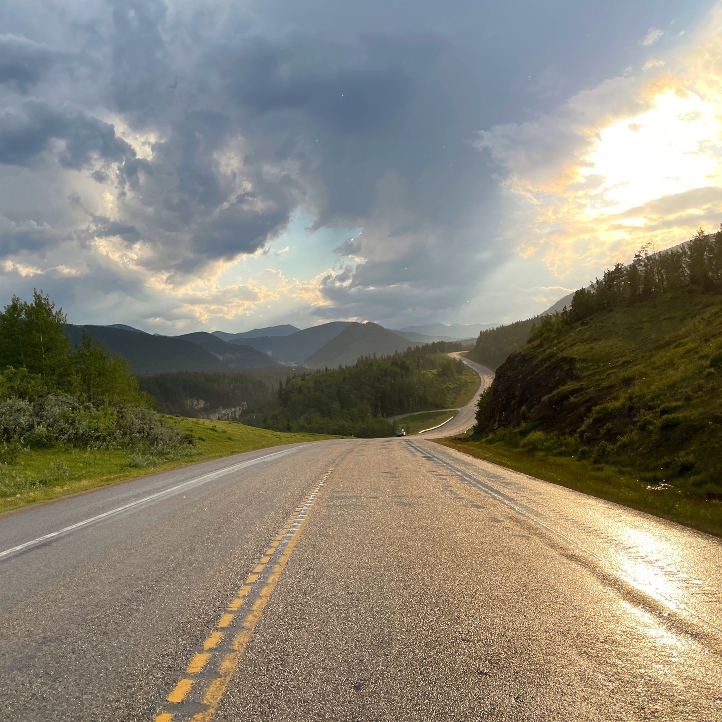 SAVE THE DATE! We're helping clean up the 66! Every year we volunteer to pick up trash along one of our favourite local Kananaskis highways with Alberta's annual highway clean up program, this year is:
Saturday, May 6th! Bring your walking shoes, water, and bear spray and dress for the weather!
For more information, group meeting time & location, contact Megan Stuart at valleyrockranch@gmail.com or keep an eye on social media and our email newsletter for further details.