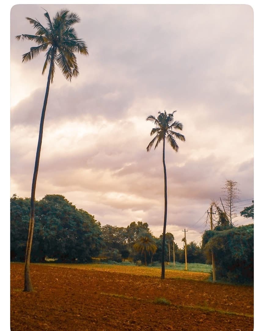 #naturepics #naturepic #natures_hub #natureshot #nature_of_our_world #natureisbeautiful #naturebeauty #earthpics #awesomeglobe #natureperfection #wildlife_perfection #earth_shotz #ig_landscapes #natgeohub #natgeowild #natgeolandscape #natgeocreative #planetearth #ecology #splendid_earth #earth_portraits #beautyofnature