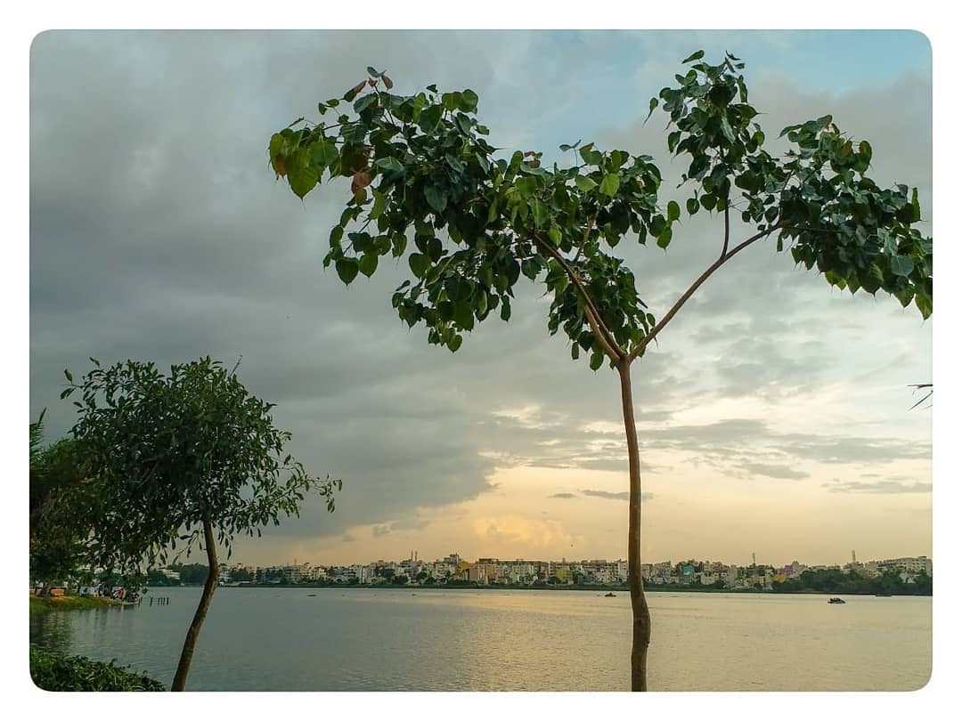 #nofilter #naturegood #naturerocks #naturevibes #natureloves #naturepicture #naturepark #naturepower #wildliferescue #earthawesome #earthpic #protectnature #wildlifelover #wildliferefuge #wildlifephotos #conservationphotography #natureiscool #natureislife #appreciatenature #natureisperfect #evening #picoftheday