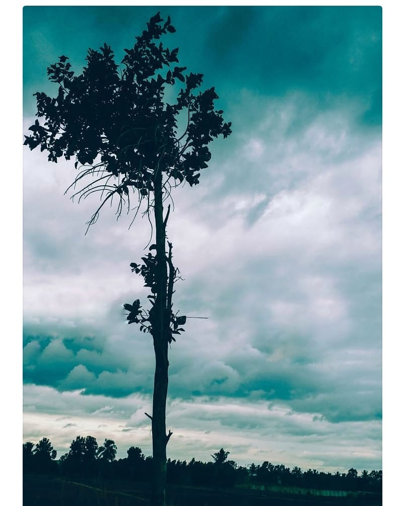 ##sky #instagramanet #cloudchasing #skyporn #cloudstagram #cloudysky #cloudlovers #cloud_skye #cloudchasers #cloudyday #instaclouds #skyviewers #instacloud #cloudscape #clouds #skywatcher #cloud9 #instatag #clouds_of_our_world #skyline #cloudsporn #cloudlife #skyscraper #cloudy #cloudporn #cloudnine #cloudchaser #cloud #skylovers #mobilephotography